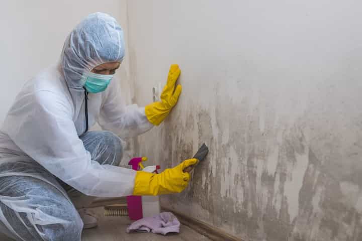 How to clean black mold from drywall Mold Experts of Madison County